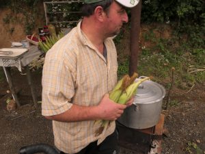 Mais, gekocht, leicht gesalzen
