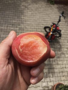 das sind Früchte!
