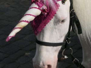 normal hier