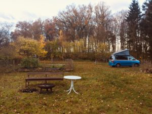 IMG_6564 IMG_6564